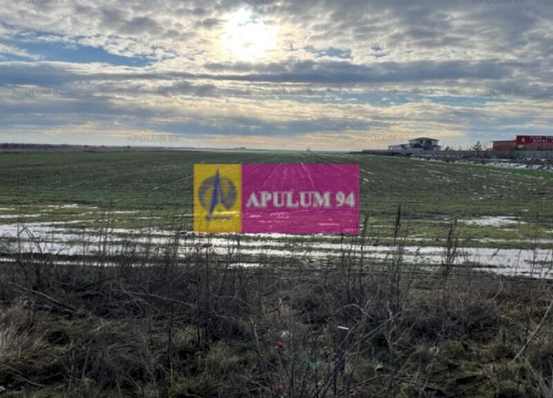 Teren Mihailesti- langa Dovinot.